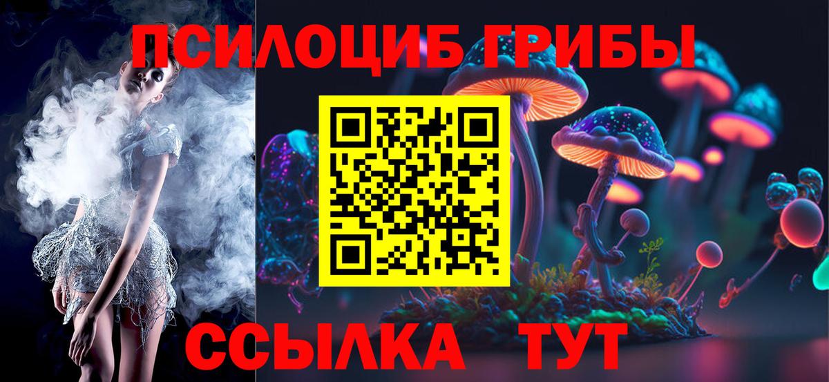 где можно купить   Вход с VPN  Псилоцибиновые грибы мицелий  Шадринск  Галлюциногенные грибы Psilocybe 