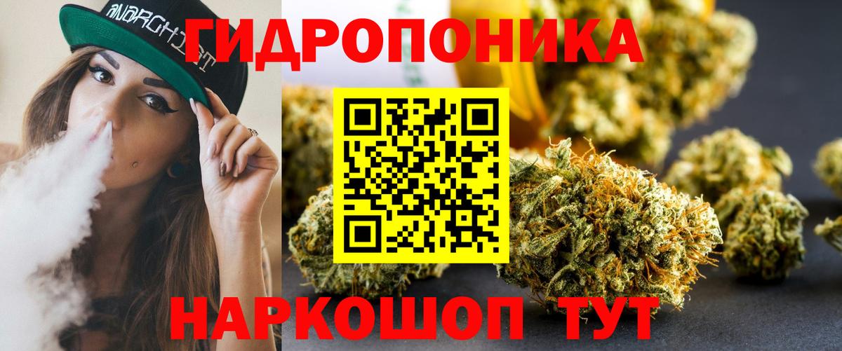 Бошки марихуана сатива Шадринск